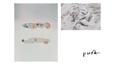 slide_16_9_-_13
